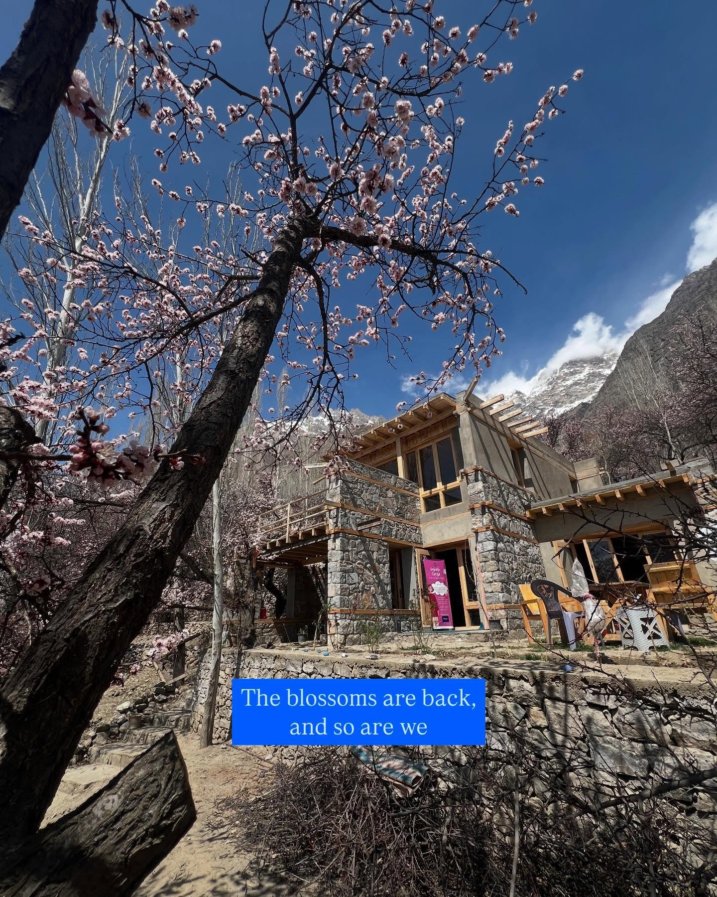 Hunza Valley in bloom